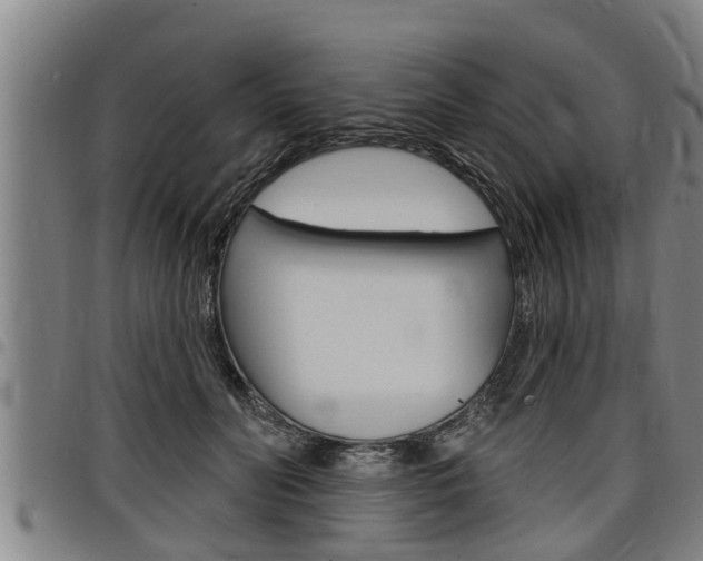 X0000098110606200804040803