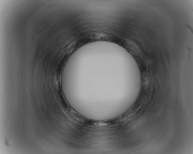 X0000098110607200804040803