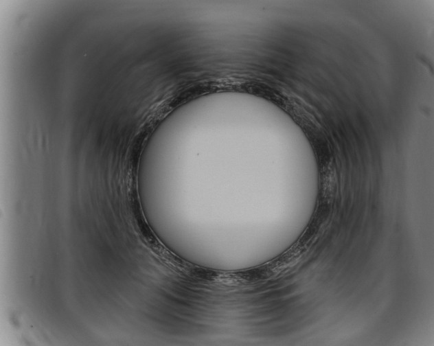 X0000098110608200804040803