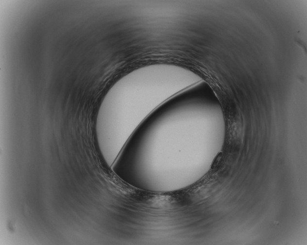 X0000098110609200804040803