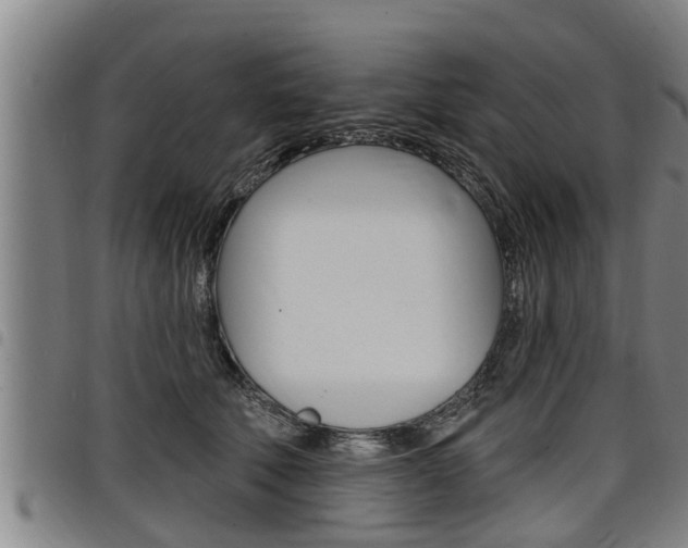 X0000098110610200804040803