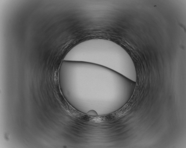 X0000098110611200804040803