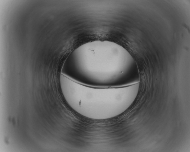 X0000098110613200804040803