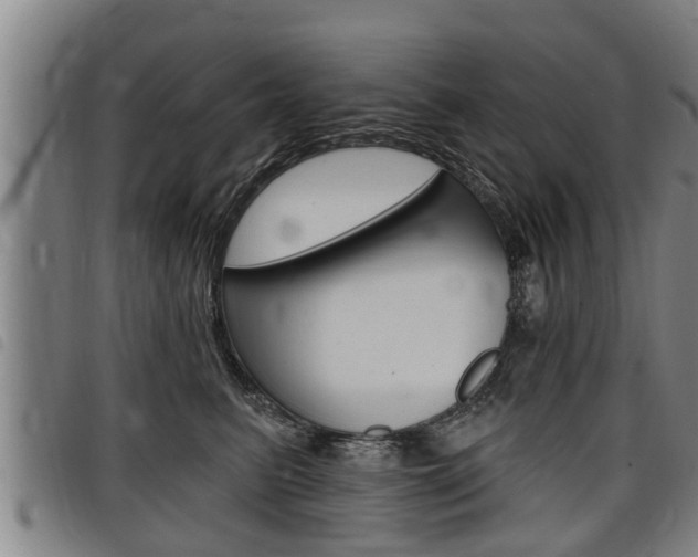 X0000098110615200804040803