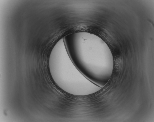X0000098110617200804040803