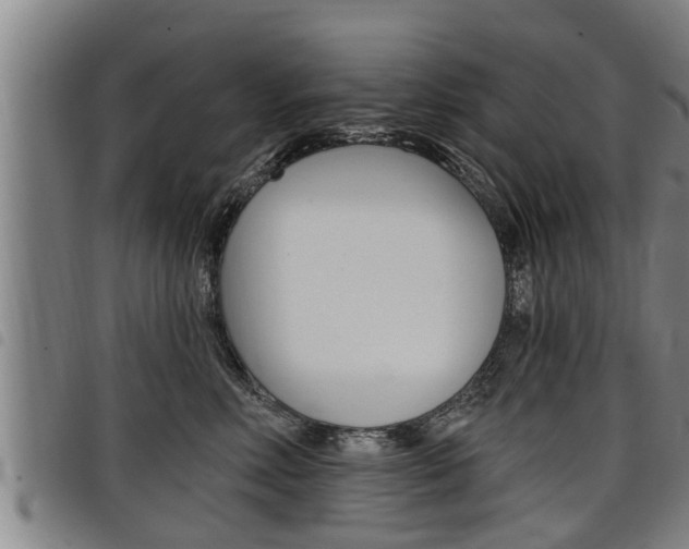 X0000098110618200804040803