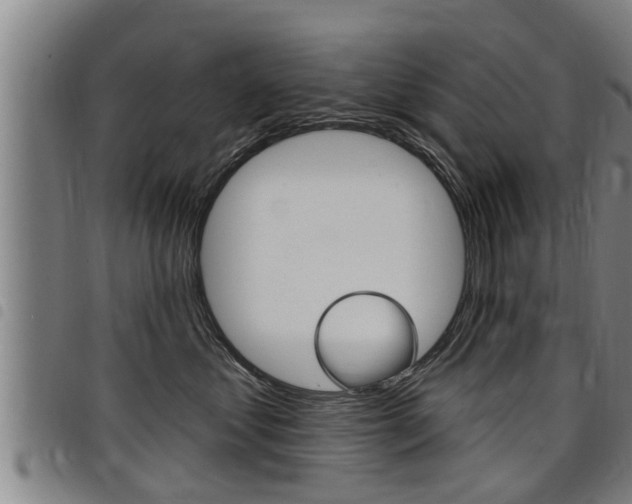 X0000098110621200804040803