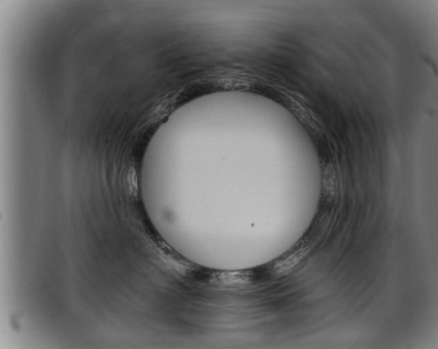 X0000098110622200804040803