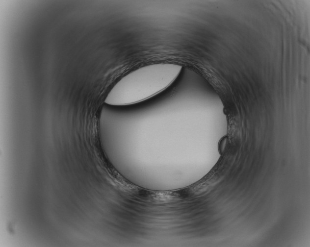 X0000098110623200804040803