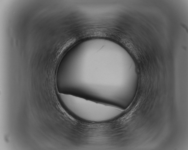 X0000098110625200804040802