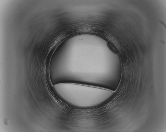 X0000098110626200804040802