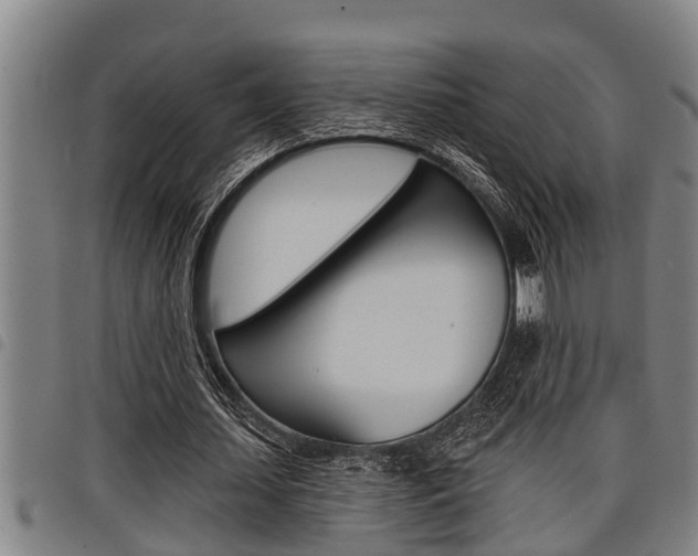 X0000098110627200804040802
