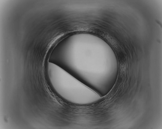 X0000098110628200804040802