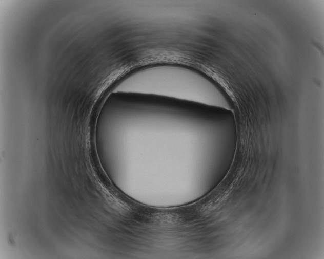 X0000098110629200804040802