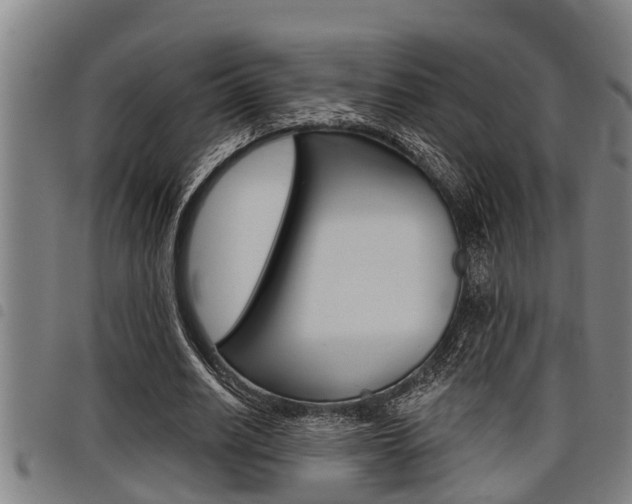 X0000098110630200804040802