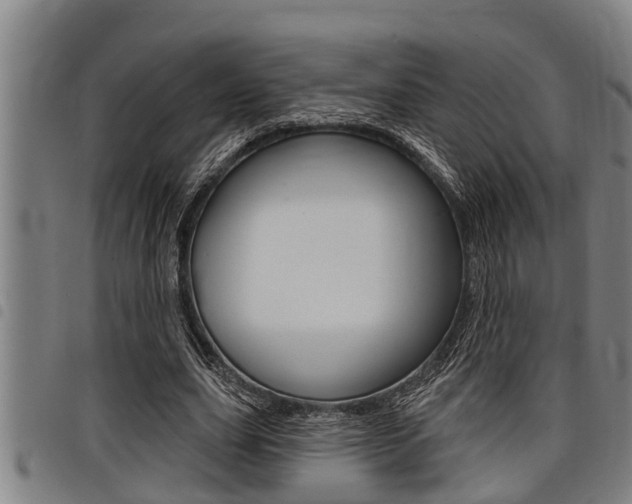 X0000098110631200804040802
