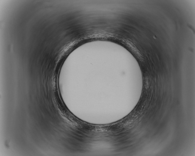 X0000098110632200804040802