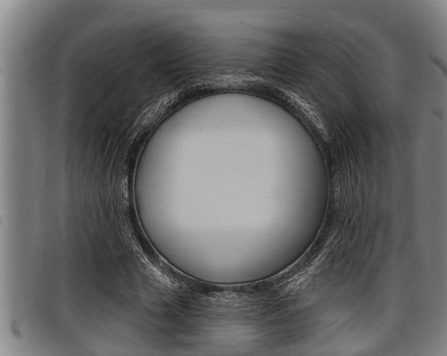 X0000098110633200804040802