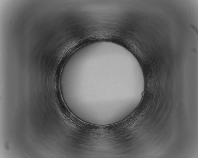 X0000098110635200804040802