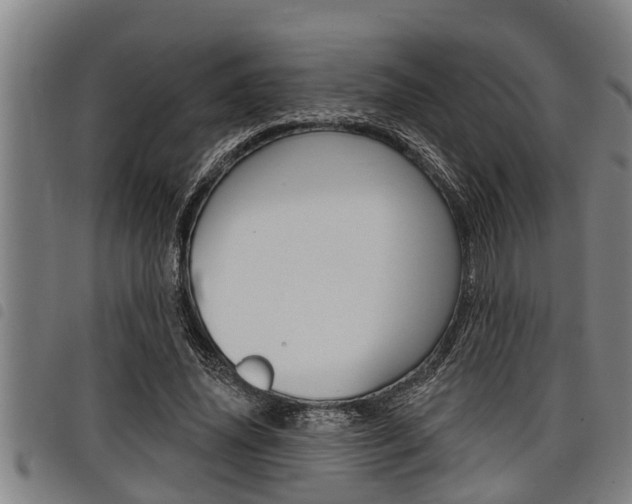 X0000098110636200804040802