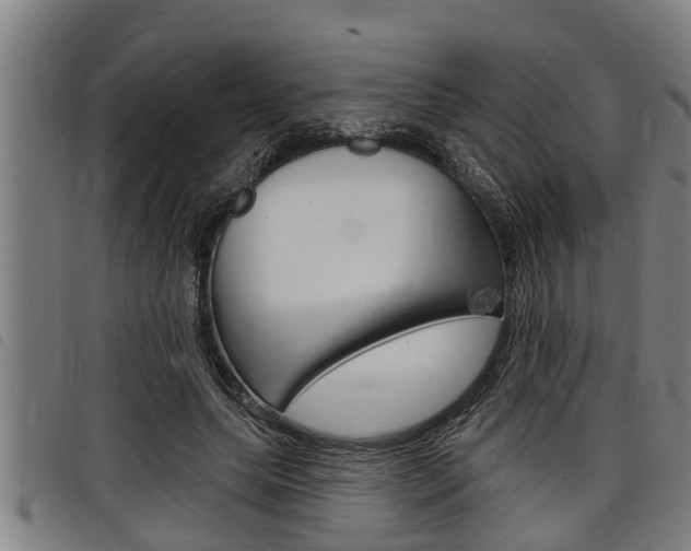 X0000098110639200804040802