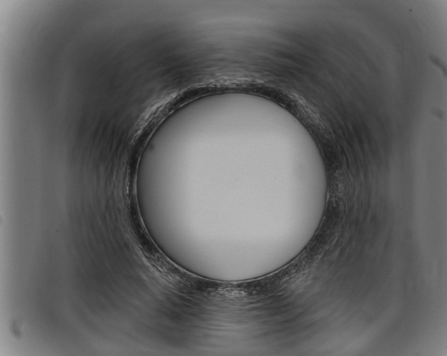 X0000098110640200804040802