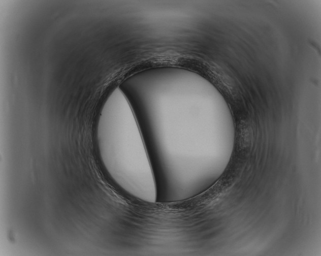 X0000098110641200804040802
