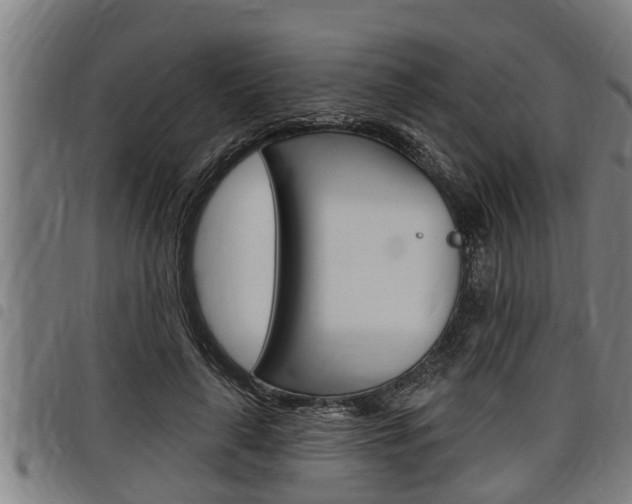 X0000098110643200804040802