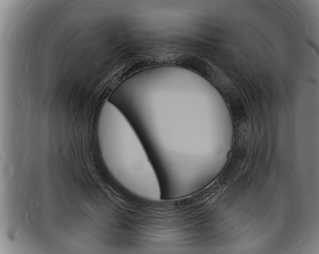 X0000098110644200804040802