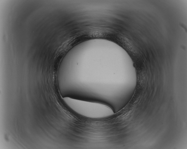 X0000098110645200804040802