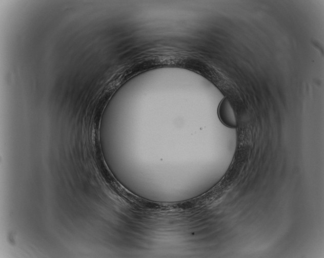 X0000098110646200804040802