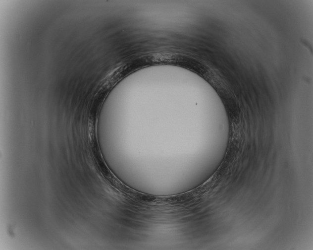 X0000098110648200804040802