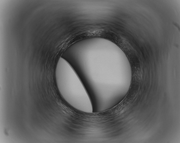 X0000098110649200804040802