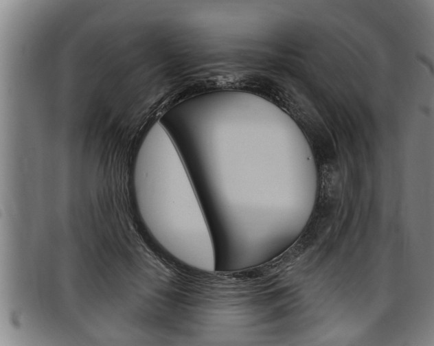 X0000098110650200804040802
