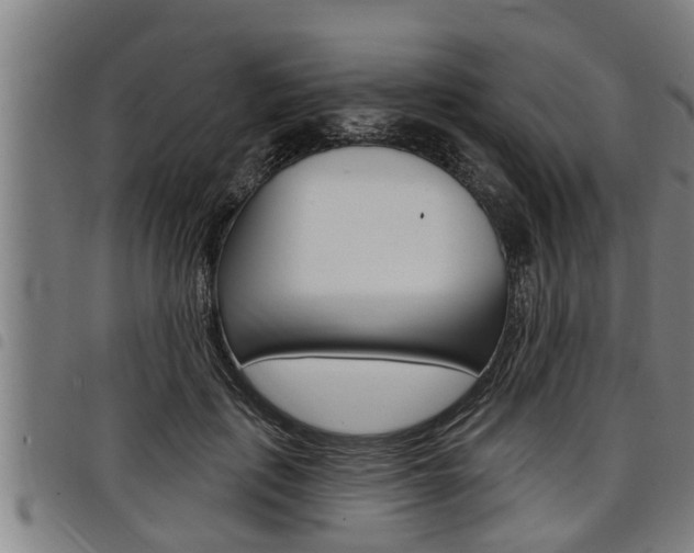 X0000098110651200804040802