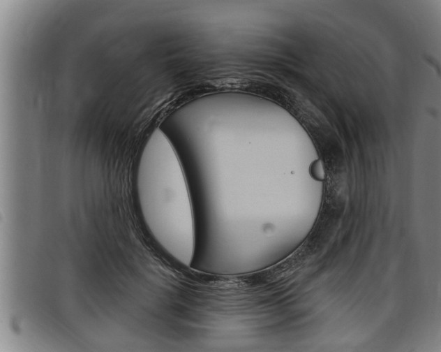X0000098110652200804040802