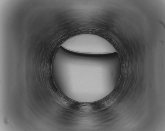 X0000098110653200804040802