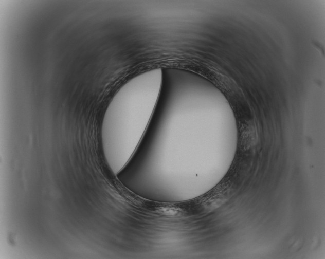 X0000098110654200804040802