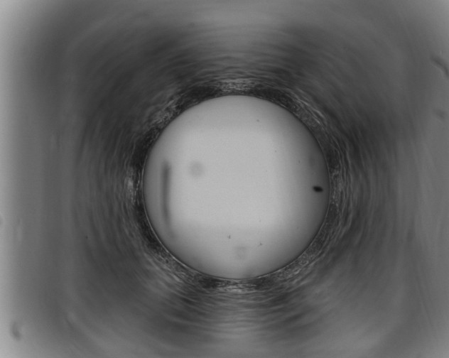 X0000098110655200804040802