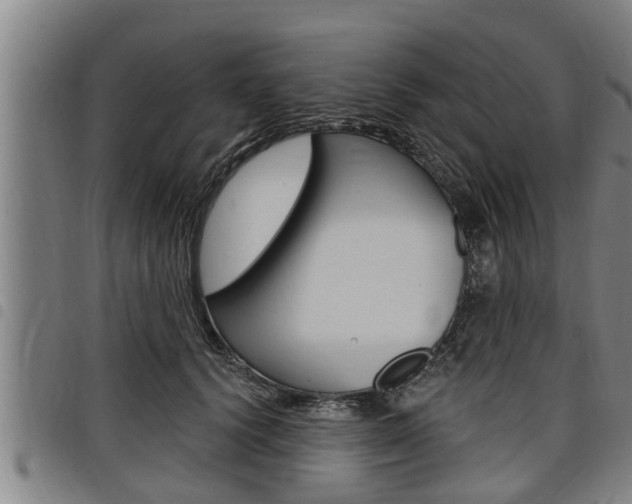 X0000098110656200804040802