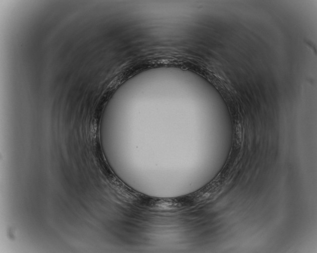X0000098110657200804040802