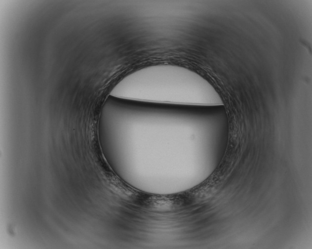 X0000098110658200804040802
