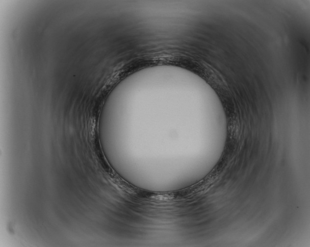 X0000098110660200804040802
