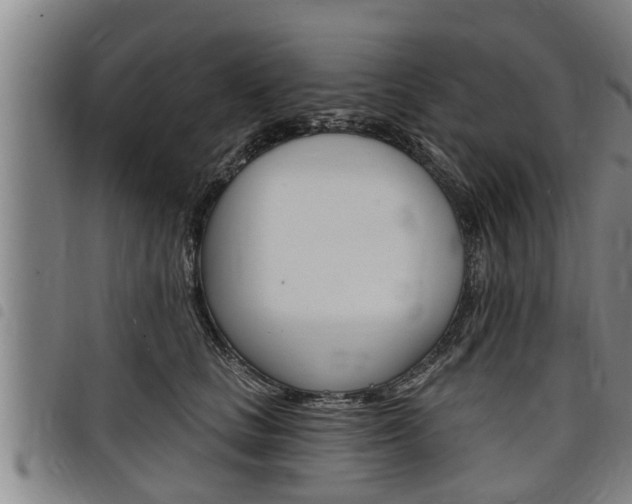 X0000098110661200804040802