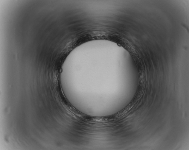 X0000098110662200804040802