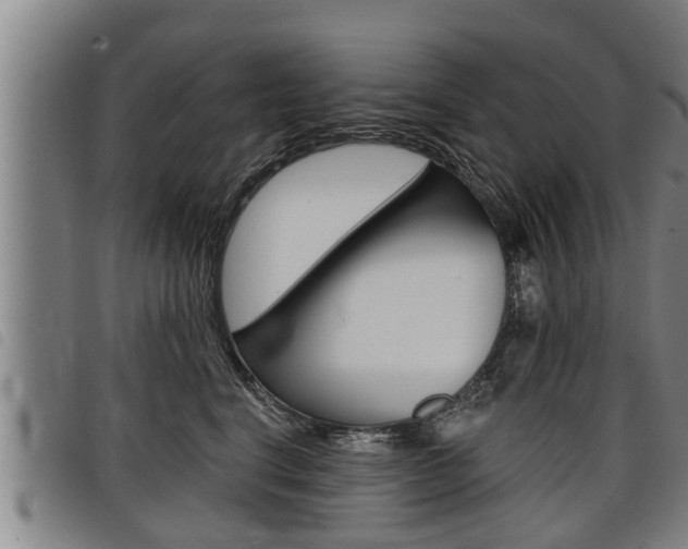 X0000098110664200804040802