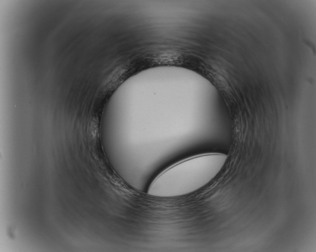 X0000098110665200804040802