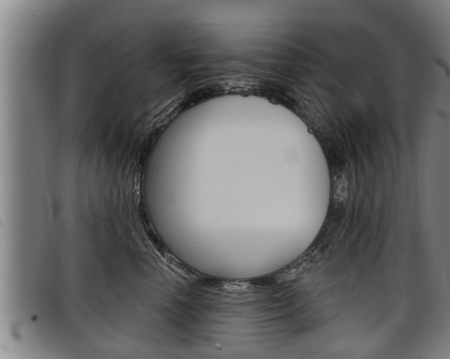 X0000098110666200804040802