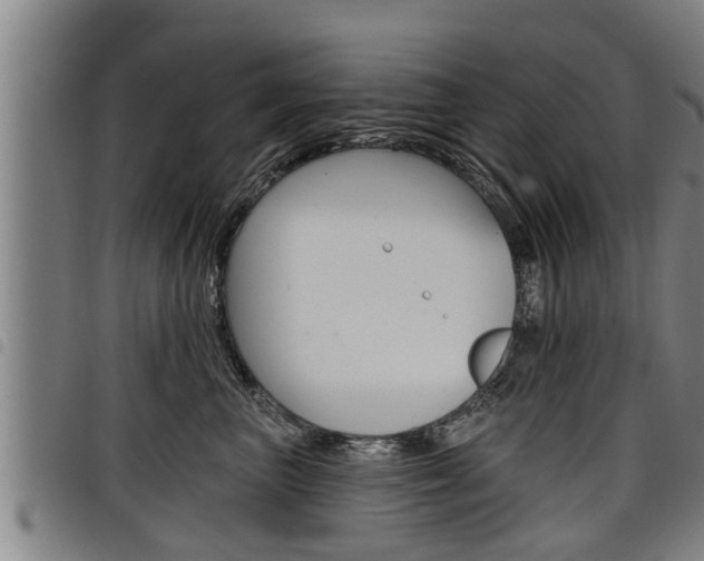 X0000098110667200804040802