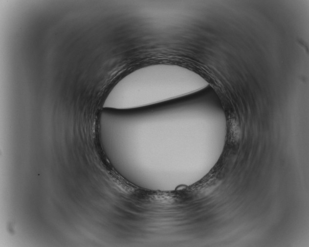 X0000098110668200804040802
